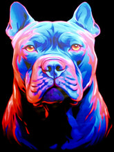 Load image into Gallery viewer, AM STAFF