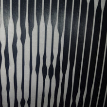 Load image into Gallery viewer, SELFIE OF LEGENDS | optical striped images :: optyczne obrazy w paski