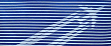 Load image into Gallery viewer, FLIGHT | optical striped image