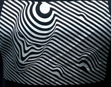 Load image into Gallery viewer, FAC3.D | Silver Print