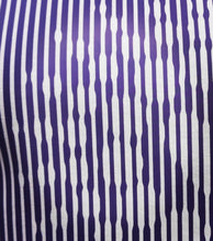 Load image into Gallery viewer, BERLIN PARADE | optical striped images ::
