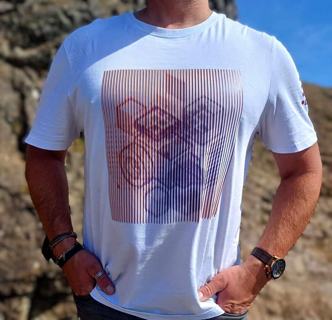 THE PROJECT WITHOUT A NAME | optical striped images ::